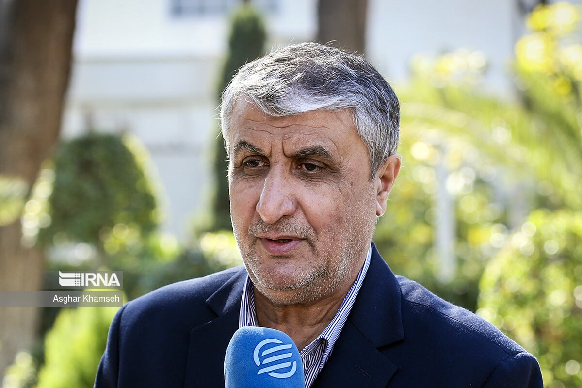 مشارکت سازمان انرژی اتمی با بخش خصوصی آغاز شد